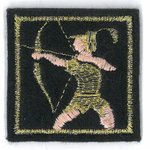 Distinctions TAE national